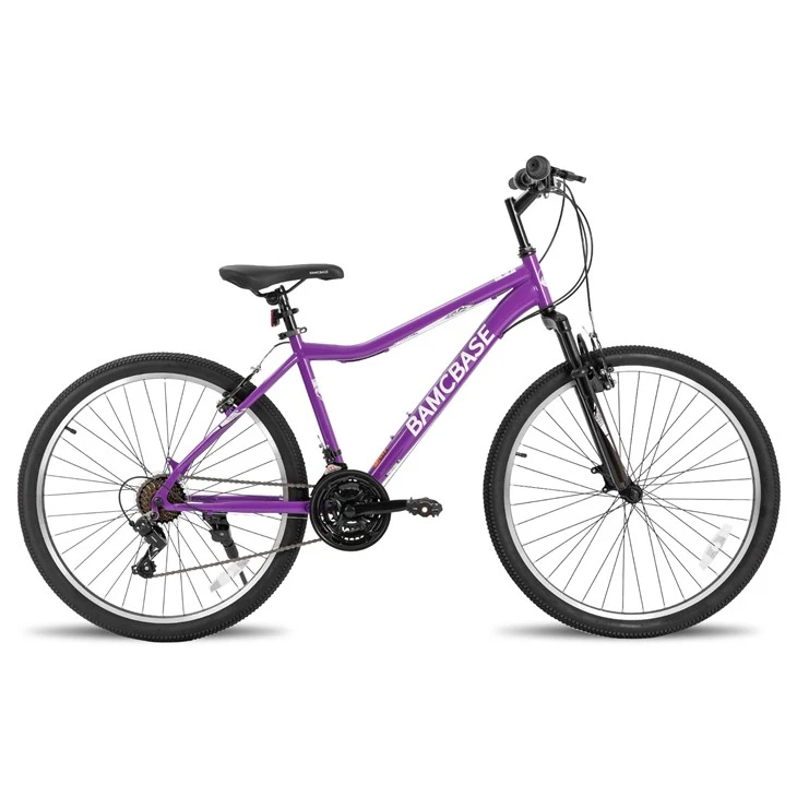 26 Inch Womens And Mens Mountain Bike, 21 Speed Steel Frame Adult Bicycle, MTB Bikes With Suspension Fork, Purple Green White